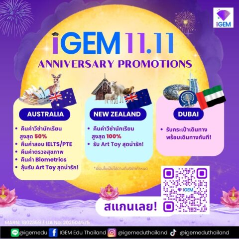 iGEM  Anniversary x 11.11 Celebration